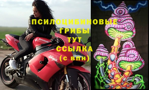 прущий лед Алзамай