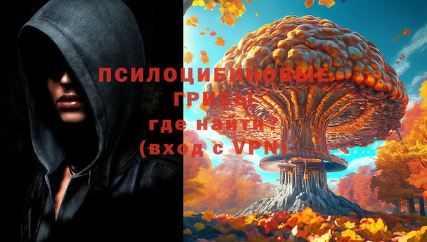 прущие грибы Алексеевка