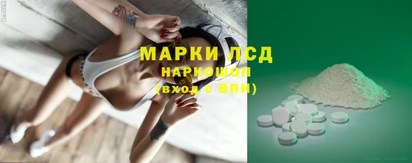 прущий лед Алзамай