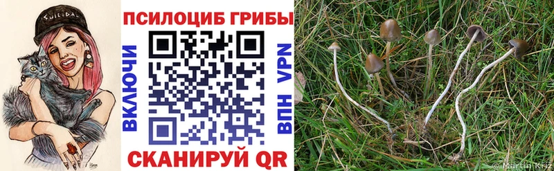 Псилоцибиновые грибы ЛСД Апатиты